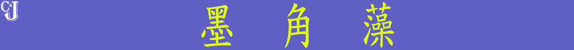 h4